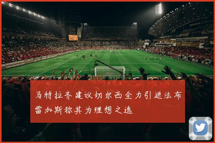 马特拉齐建议切尔西全力引进法布雷加斯称其为理想之选